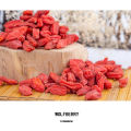Vente chaude de baies de goji rouges certifiées chinoises